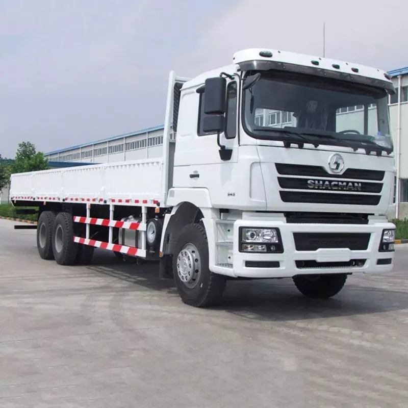 Camion da carico SHACMAN 6x4